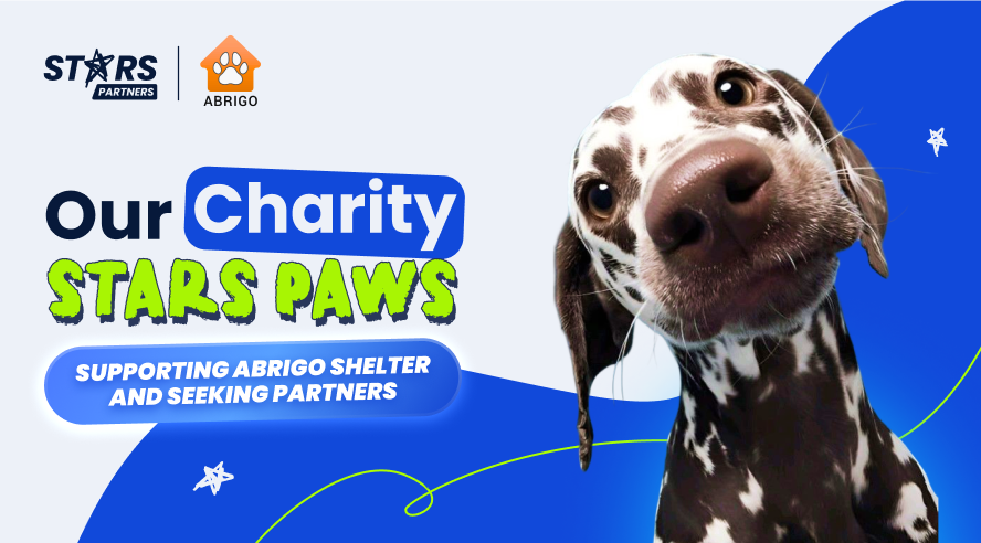 Charity Stars Paws: Supporting Abrigo Shelter and Seeking Partners