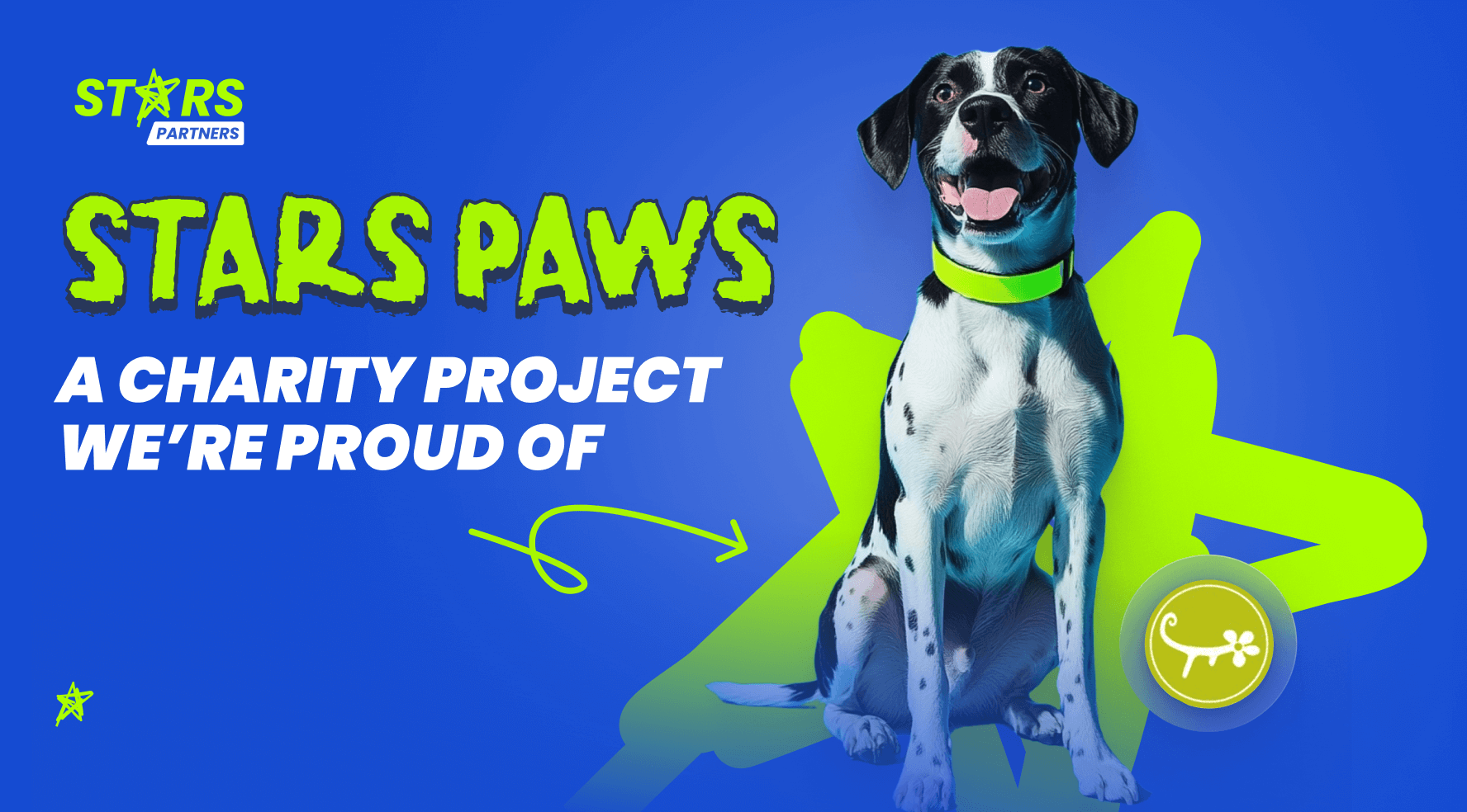 Stars Paws: A Charity Project We’re Proud Of
