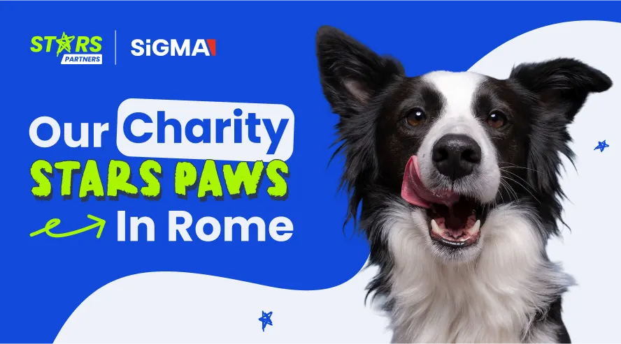 Stars Paws Continues Its Journey — See You in Rome