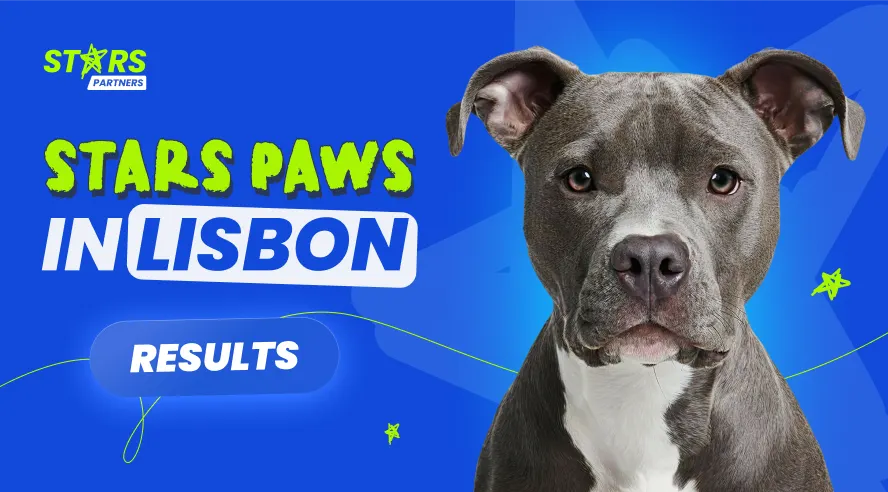 Stars Paws Lisbon 2025 Recap: How We Helped Together
