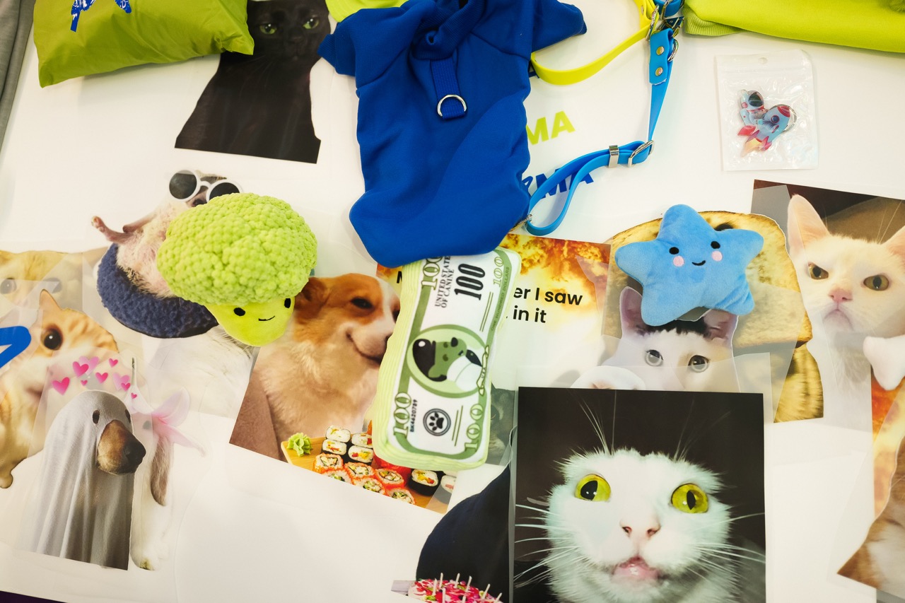 Sigma Central Europe 2025